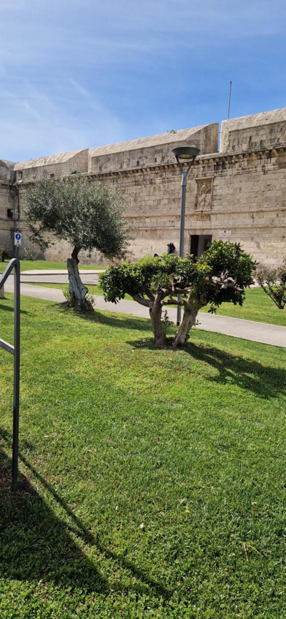 Bed and Breakfast Md House Civitavecchia Exteriér fotografie